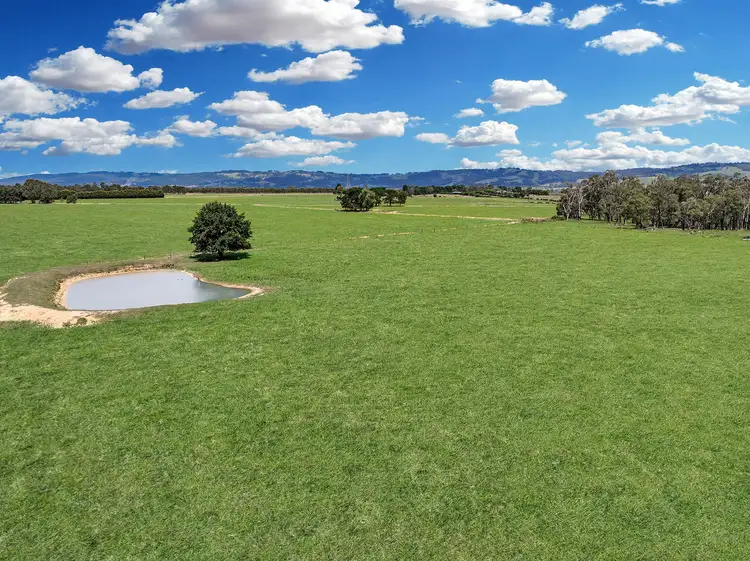 Second view of Homely rural property listing, 199 Orchard Road, Yarragon VIC 3823