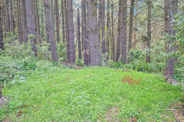 Third view of Homely rural property listing, 890 Yarragon-Leongatha Road, Yarragon South VIC 3823