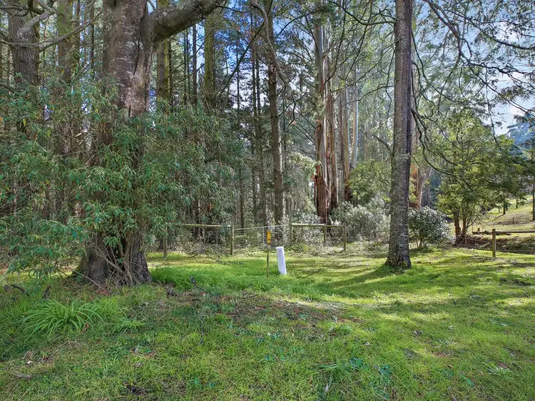 Fifth view of Homely rural property listing, 890 Yarragon-Leongatha Road, Yarragon South VIC 3823