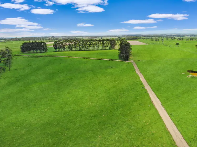 Sixth view of Homely rural property listing, 435 Stuhrs Road, Darnum VIC 3822