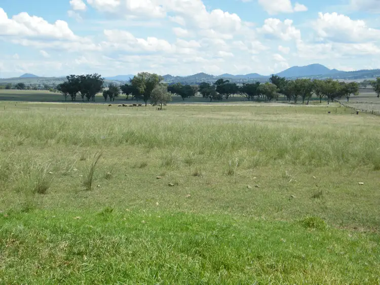 Third view of Homely rural property listing, 528 Werris Creek Road, Quirindi NSW 2343