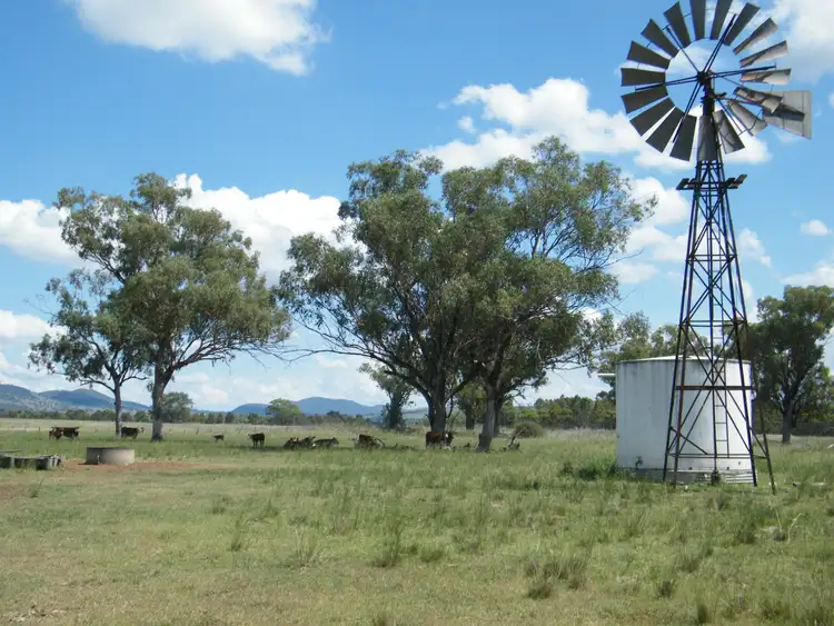 Fourth view of Homely rural property listing, 528 Werris Creek Road, Quirindi NSW 2343