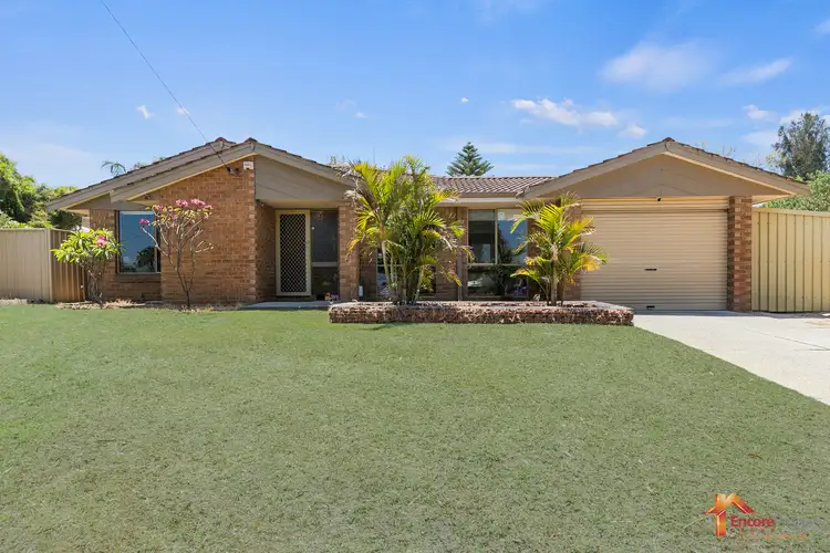 Main view of Homely house listing, 14 Gale Court, Calista WA 6167