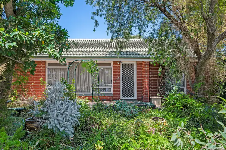 Main view of Homely house listing, 25 Luprena Avenue, Ingle Farm SA 5098
