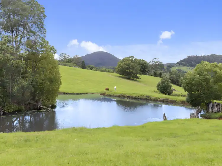 32 Kelly's road, Eungella NSW 2484