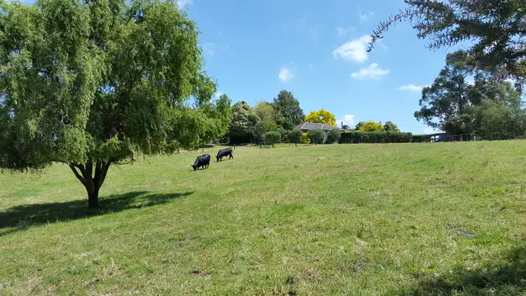 Sixth view of Homely house listing, 930 Dollar Road, Foster North VIC 3960