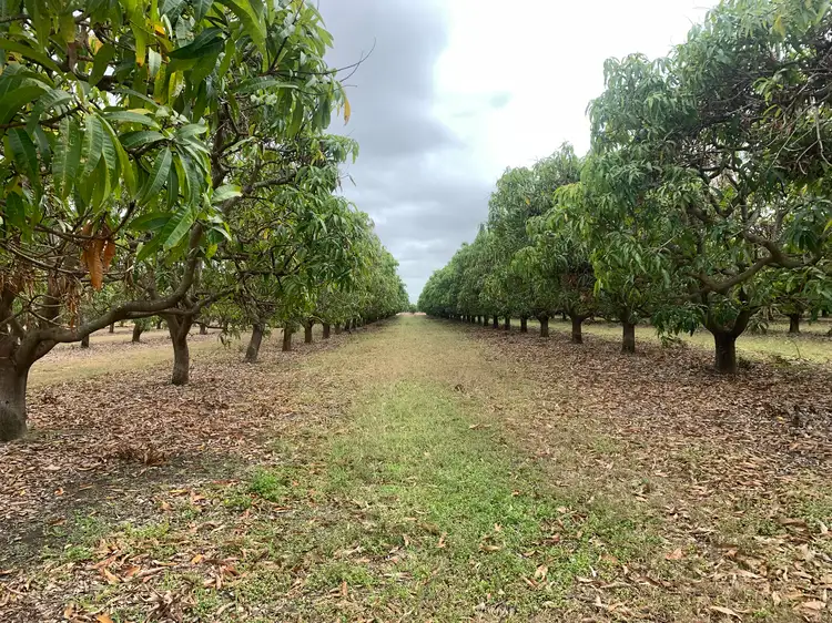 Main view of Homely rural property listing, 48 Kensington Avenue, Horseshoe Lagoon QLD 4809