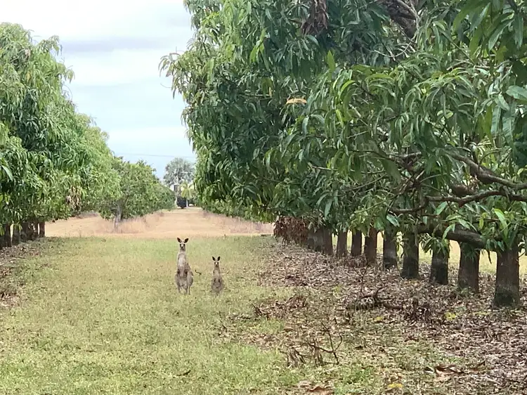Second view of Homely rural property listing, 48 Kensington Avenue, Horseshoe Lagoon QLD 4809