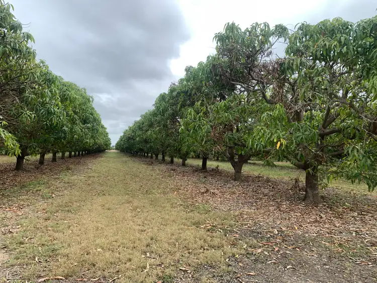 Sixth view of Homely rural property listing, 48 Kensington Avenue, Horseshoe Lagoon QLD 4809