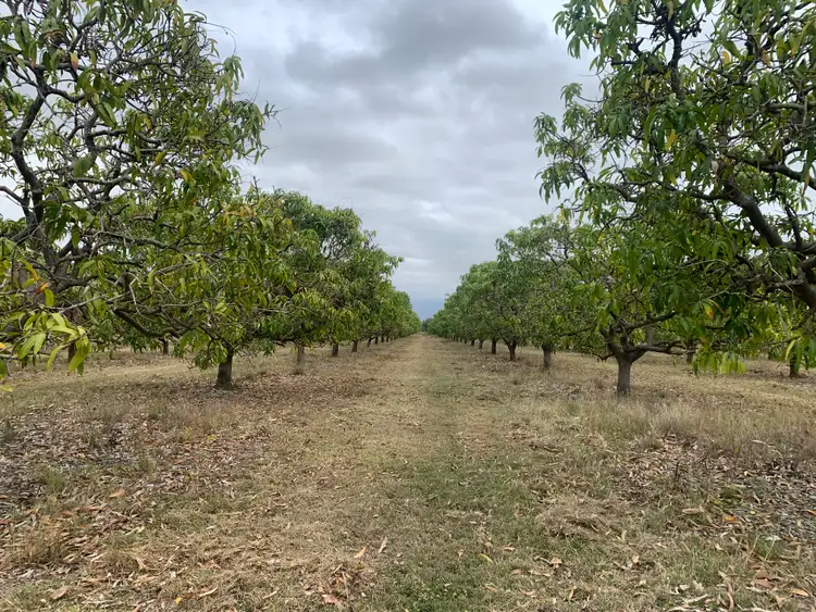 Seventh view of Homely rural property listing, 48 Kensington Avenue, Horseshoe Lagoon QLD 4809
