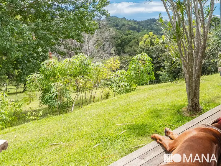 Fourth view of Homely house listing, 241 Middle Pocket Road, Middle Pocket NSW 2483
