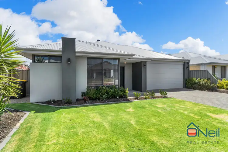 Main view of Homely house listing, 12 Setosa Loop, Byford WA 6122