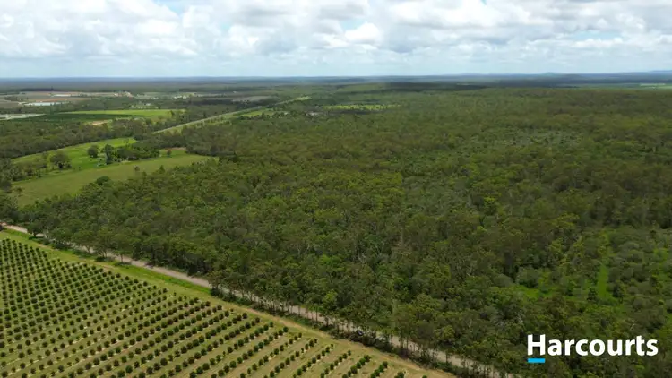Second view of Homely rural property listing, Lot 200 Abington Road, Abington QLD 4660