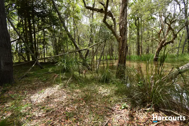 Fifth view of Homely rural property listing, Lot 200 Abington Road, Abington QLD 4660