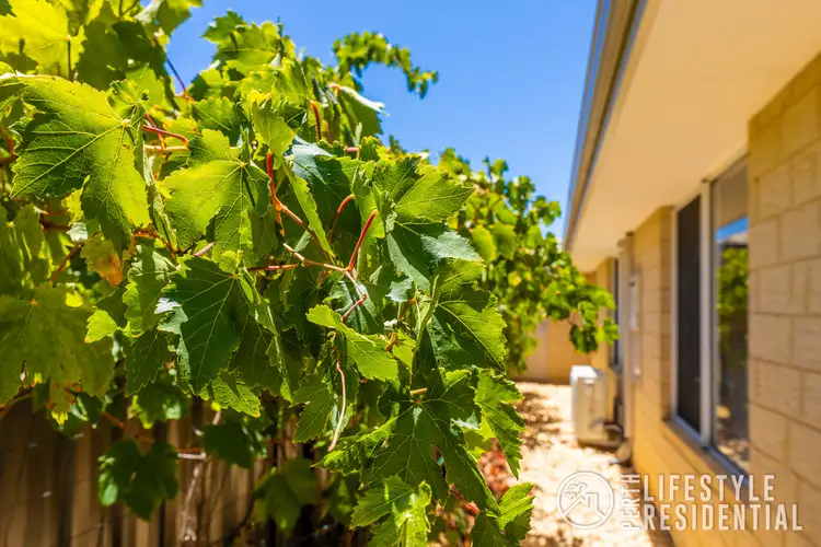 Second view of Homely house listing, 11 Danbulla Loop, Yanchep WA 6035