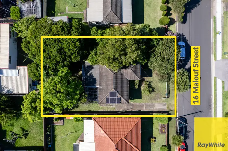 16 Malouf Street, Canley Heights NSW 2166
