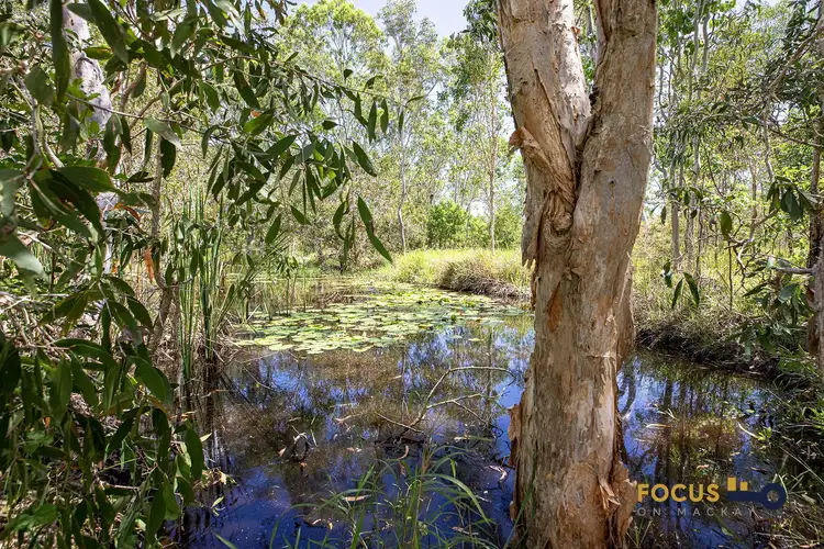 Third view of Homely rural property listing, 821 Greenhill Rd, Ilbilbie QLD 4738