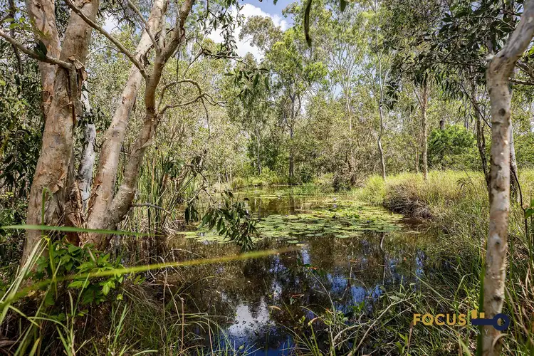 Fourth view of Homely rural property listing, 821 Greenhill Rd, Ilbilbie QLD 4738