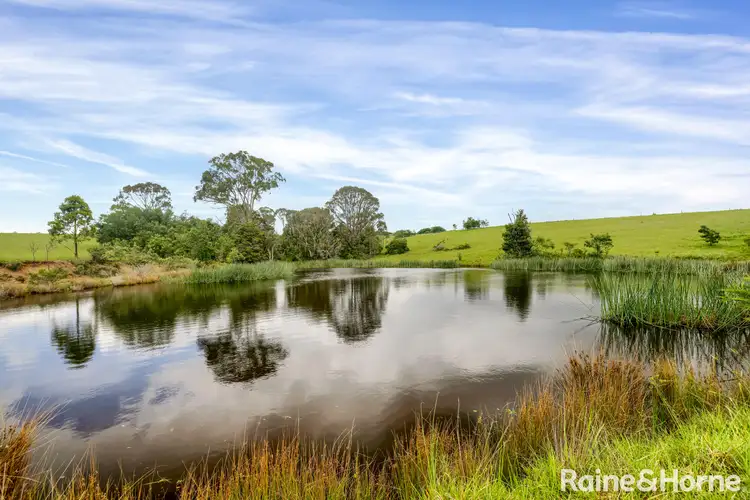 Fifth view of Homely rural property listing, 55 Greenmeadow Lane, Nowra Hill NSW 2540