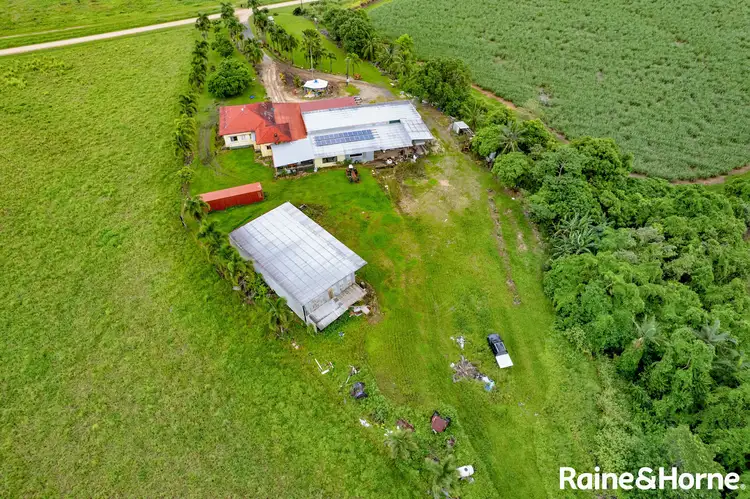 Third view of Homely rural property listing, 3-5 No.5 Branch Road, Silkwood QLD 4856
