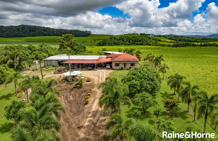 Fourth view of Homely rural property listing, 3-5 No.5 Branch Road, Silkwood QLD 4856