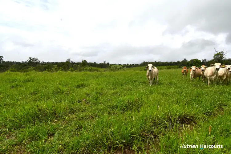 Second view of Homely rural property listing, Lot 167 Towns Creek Road, Mount Perry QLD 4671