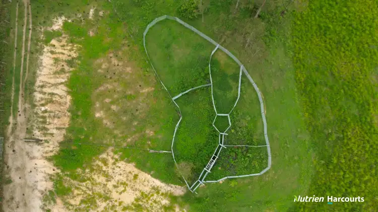 Sixth view of Homely rural property listing, Lot 167 Towns Creek Road, Mount Perry QLD 4671
