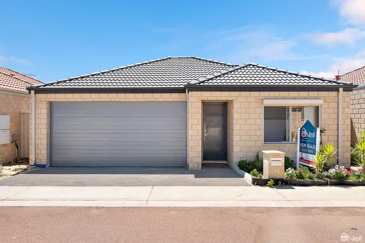 Main view of Homely house listing, 14 Belches Loop, Seville Grove WA 6112