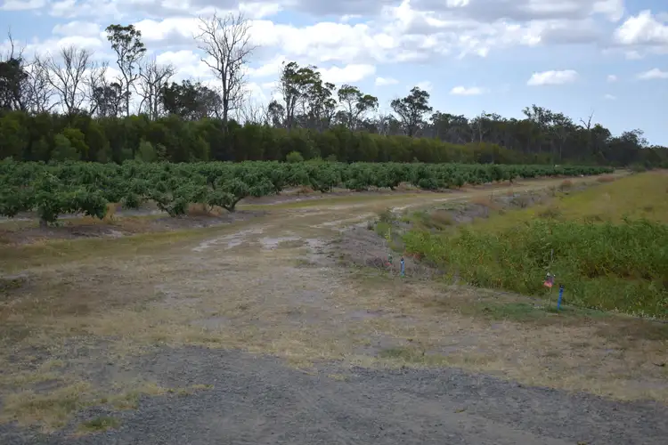 Fourth view of Homely rural property listing, 135 Newlands Road, North Gregory QLD 4660