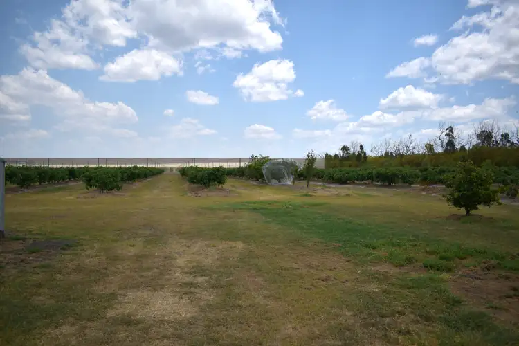 Sixth view of Homely rural property listing, 135 Newlands Road, North Gregory QLD 4660