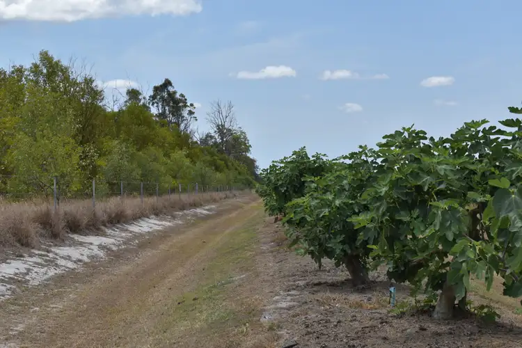 Seventh view of Homely rural property listing, 135 Newlands Road, North Gregory QLD 4660