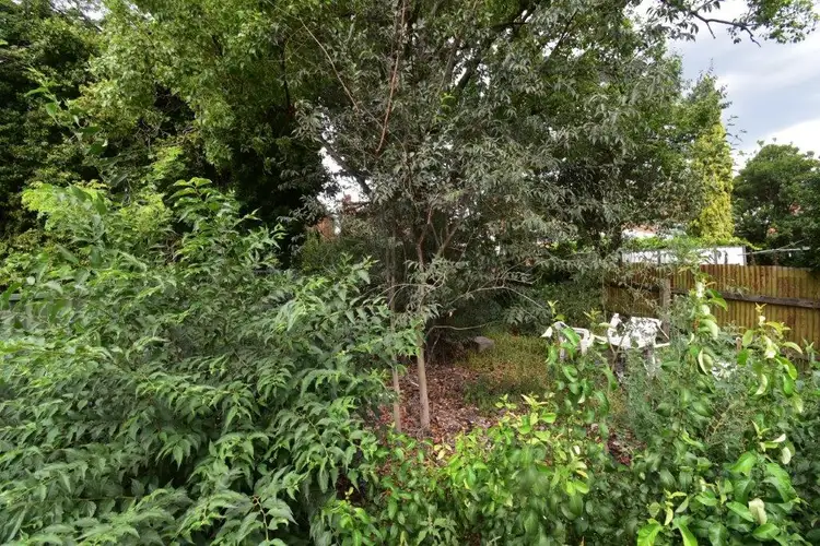 Seventh view of Homely house listing, 63 & 65 Percy Street, Wellington NSW 2820