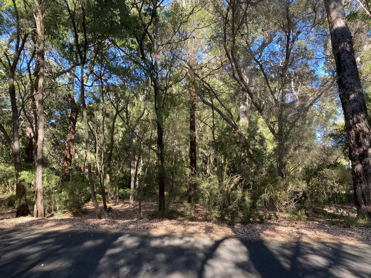 Main view of Homely land listing, 34 Dalton Way, Molloy Island WA 6290