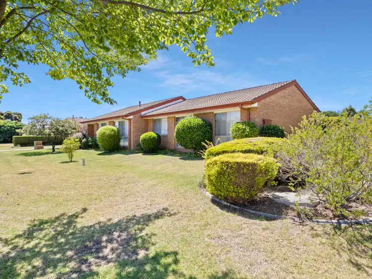 8 Saville Ave, Lavington NSW 2641