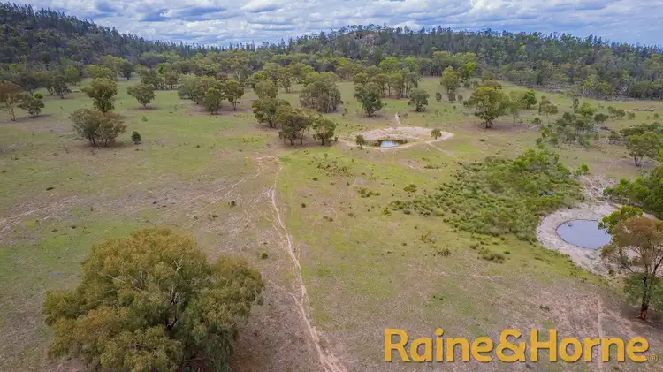 Main view of Homely rural property listing, 233R Peak Hill Road, Dubbo NSW 2830