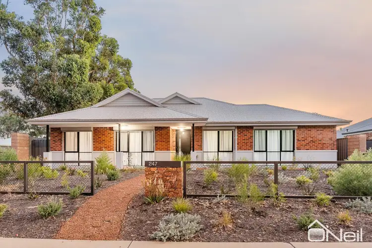 Main view of Homely house listing, 247 Abernethy Road, Byford WA 6122