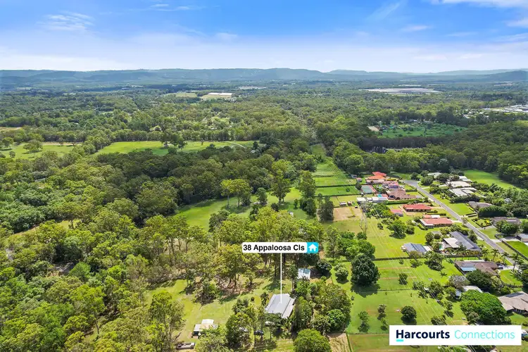 Third view of Homely house listing, 38 Appaloosa Close, Caboolture QLD 4510