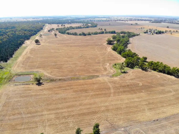 Main view of Homely rural property listing, 2200 Mary Gilmore Way, Grenfell NSW 2810