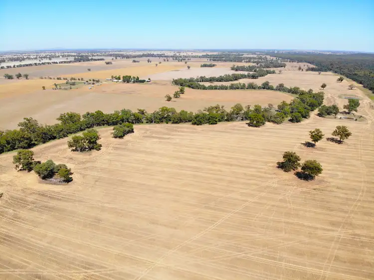 Fourth view of Homely rural property listing, 2200 Mary Gilmore Way, Grenfell NSW 2810