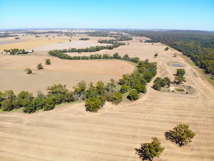Fifth view of Homely rural property listing, 2200 Mary Gilmore Way, Grenfell NSW 2810