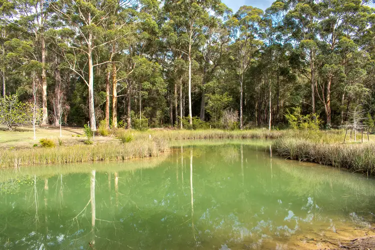 Fifth view of Homely rural property listing, 65 Roberts Road, Scotsdale WA 6333