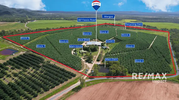 387 Fassio Road, Mareeba QLD 4880