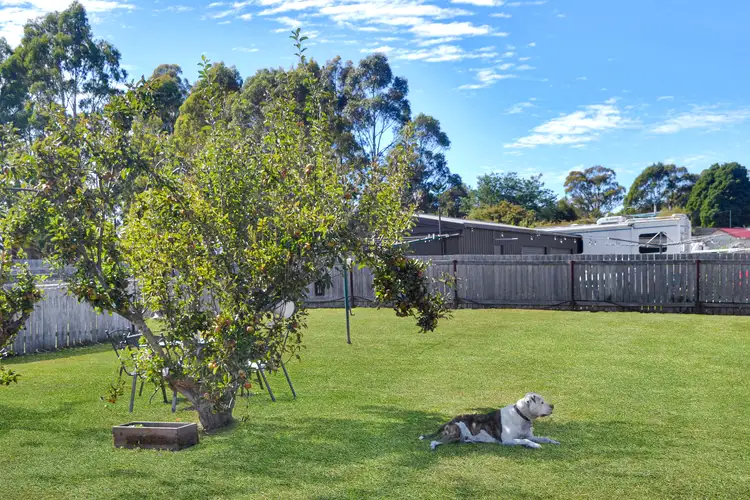 Third view of Homely house listing, 15 Gray Road, St Marys TAS 7215