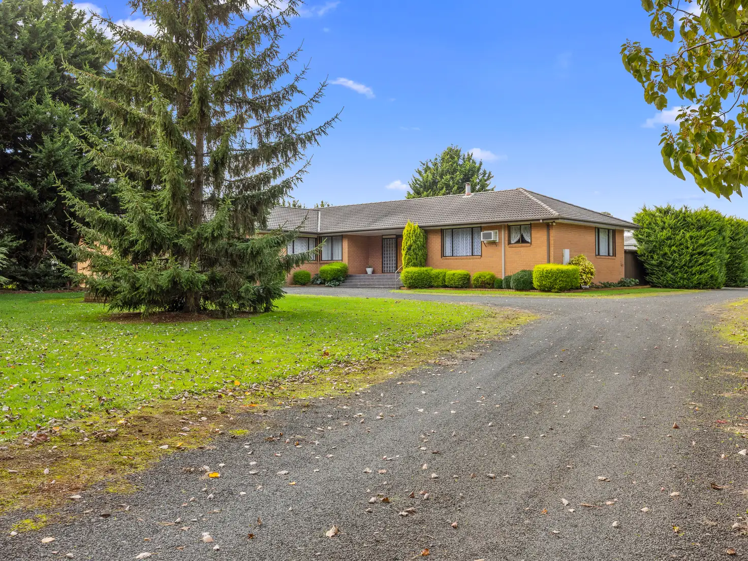 Main view of Homely house listing, 5 Carmodys Road, Leongatha VIC 3953