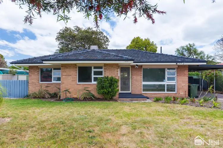 19 Cabarita Road, Armadale WA 6112