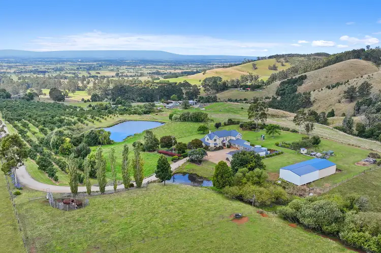 Main view of Homely rural property listing, 134 Petersons Road, Ellinbank VIC 3821