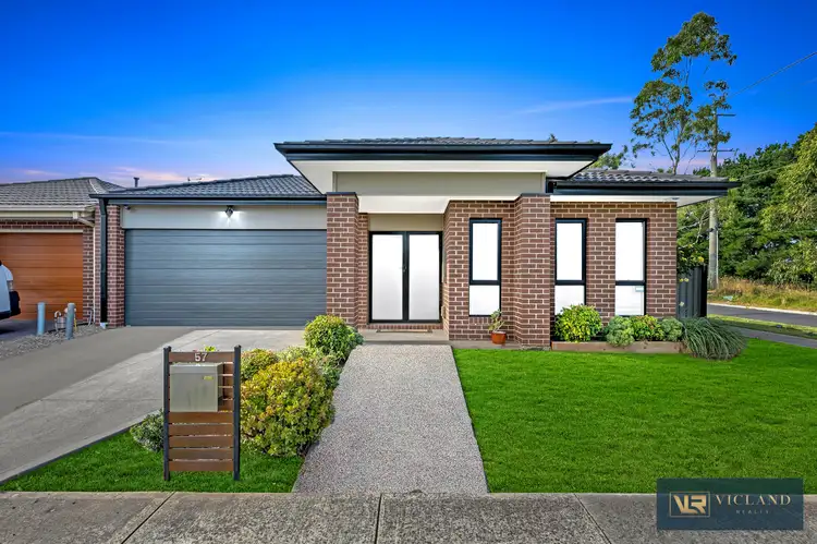 57 Whitebark Street
