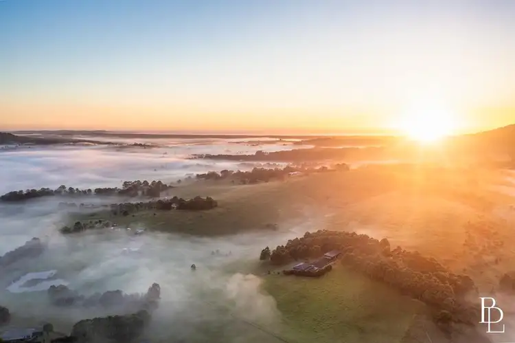 490 Back Forest Road, Far Meadow NSW 2535