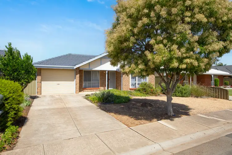 55 Greenfields Drive, Andrews Farm SA 5114