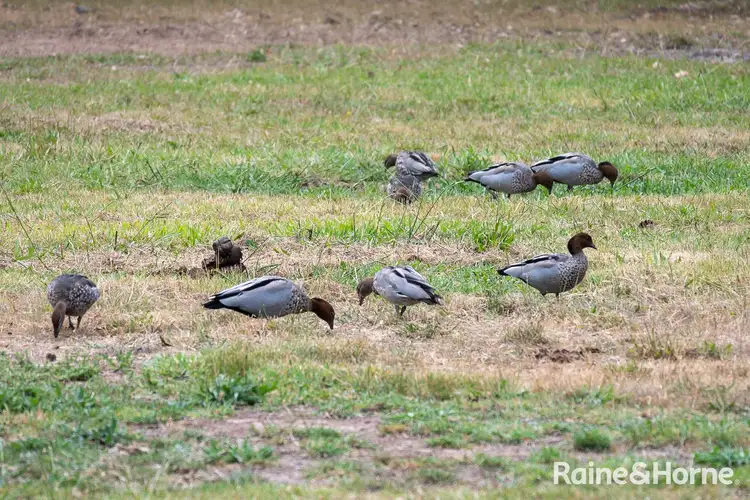 Sixth view of Homely land listing, LOT 702, 40 Henry Road, Littlehampton SA 5250